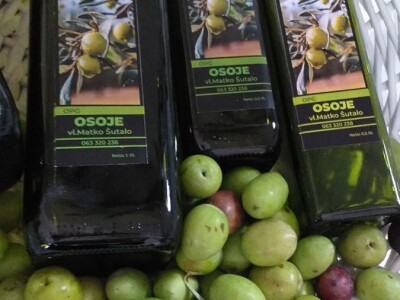 Berba i prerada maslina u Hercegovini