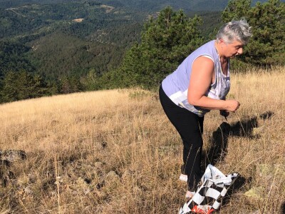 Berba ive na ozrenskom vrhu Gostilj Berba ive na ozrenskom vrhu Gostilj