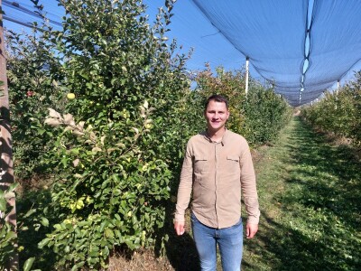 Berba jabuka u Kaću