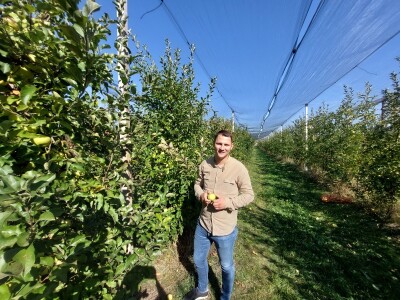 Berba jabuka u Kaću