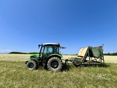 Berba kamilice na OPG Prugovečki