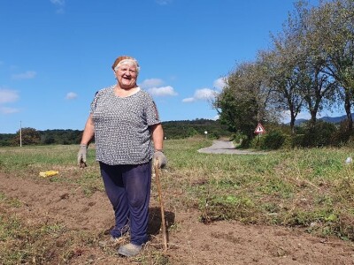 Berba krumpira u Brinju Berba krumpira u Brinju