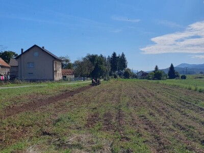 Berba krumpira u Brinju Berba krumpira u Brinju