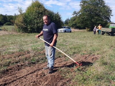Berba krumpira u Brinju Berba krumpira u Brinju