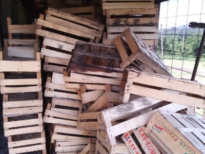 Berba krušaka Berba krušaka