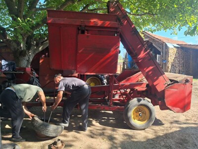 Berba kukuruza Berba kukuruza