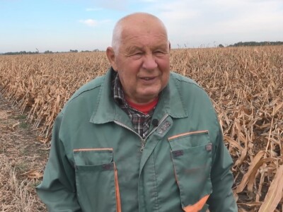 Berba kukuruza u Čeneju, rod prepolovljen