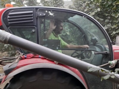 Berba lešnika Ivana Krošlaka iz Gložana nedaleko Novog Sada
