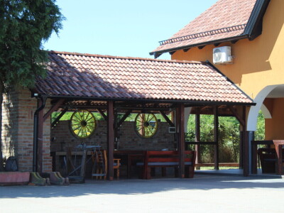 Berba marelica i stabla maslina na Poljoprivrednom obrtu Škobić