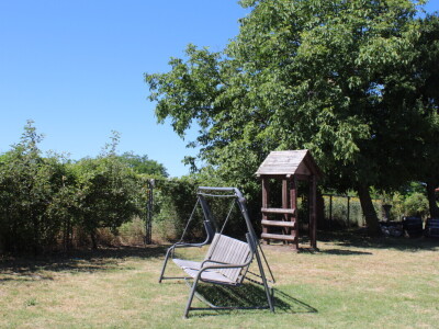 Berba marelica i stabla maslina na Poljoprivrednom obrtu Škobić