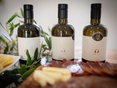 BERBA MASLINA U HERCEGOVINI