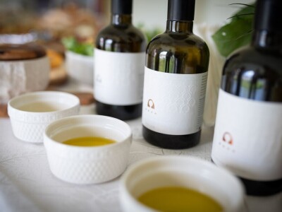 BERBA MASLINA U HERCEGOVINI