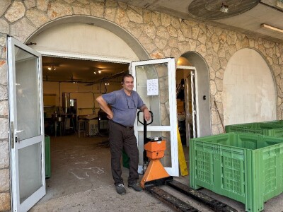 Berba maslina u Lunu