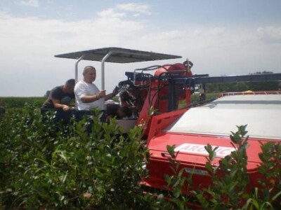 Strojna berba aronije na OPG Josipović