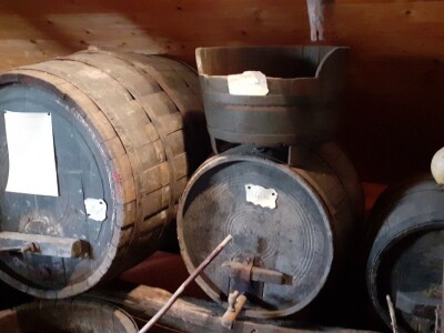 Berba portugizca Plešivica