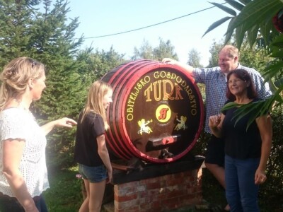 Berba ranih sorti u vinogradima obitelji Turk