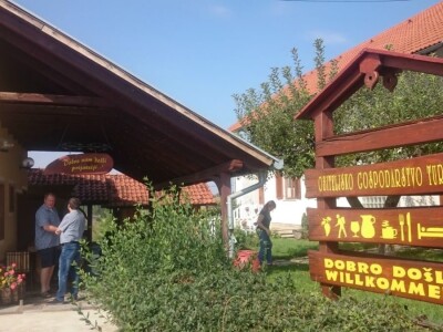 Berba ranih sorti u vinogradima obitelji Turk