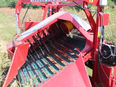 Berba šipka na OPG Zelenika