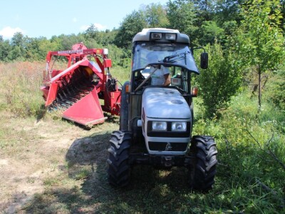 Berba šipka na OPG Zelenika