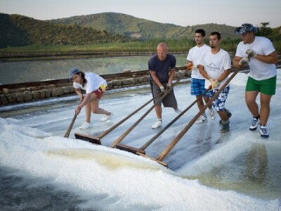 Berba eko-soli u stonskoj Solani