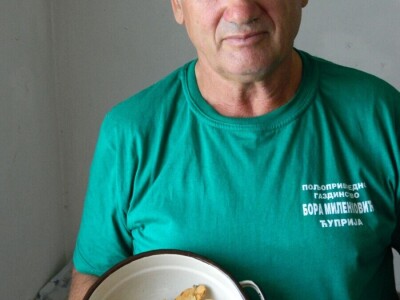 Berba sremuša donosi zaradu