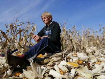 Berba stare sorte kukuruza Udruge žena Pušćine