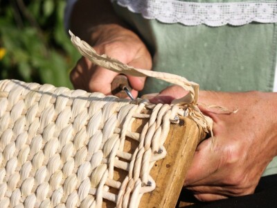 Berba stare sorte kukuruza Udruge žena Pušćine