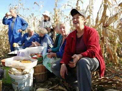 Berba stare sorte kukuruza Udruge žena Pušćine