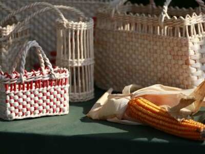 Berba stare sorte kukuruza Udruge žena Pušćine