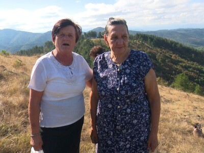 Berba trave Ive Berba trave Ive