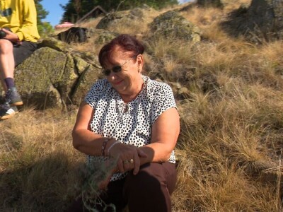 Berba trave Ive Berba trave Ive