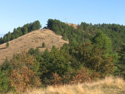 Berba trave Ive Berba trave Ive