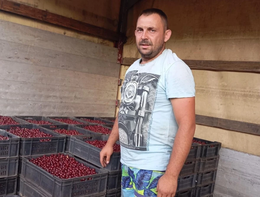 Nemanja Milo&scaron;ević