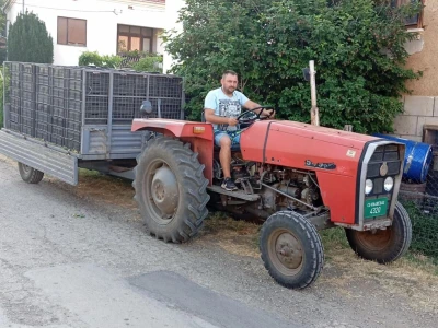 Berba višnje
