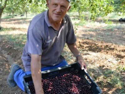 Miljenko Vrkić, upravitelj PZ Maraška iz Tiinja