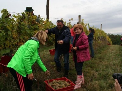 Župan, učenici, nastavnici i ravnatelji
