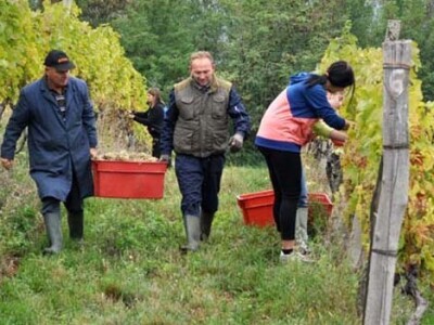 Čvrste muške ruke za brži transport