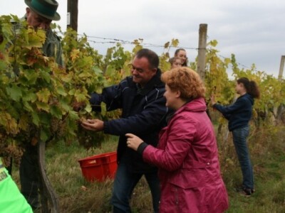 Župan se rado odazvao pozivu u berbu