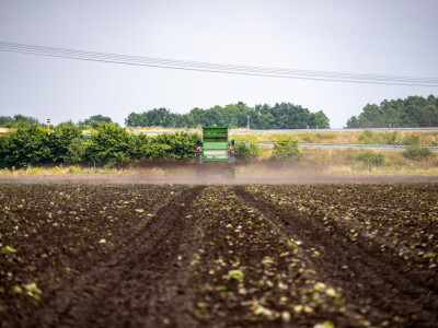 Bergmann rasipač stajnjaka