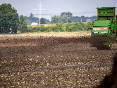 Bergmann rasipač stajnjaka