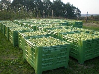 Izvoz na rusko tržište