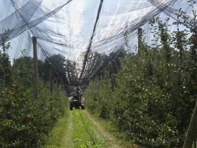Pod mrežama sigurnija i stabilnija proizvodnja
