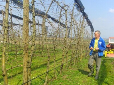 Sortu gala zamijenio bi nekom drugom
