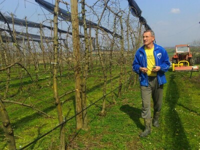 Zadovoljan zdravstvenim stanjem nasada