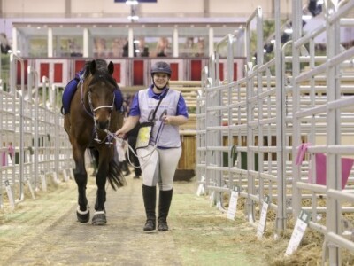 Konjička natjecanja