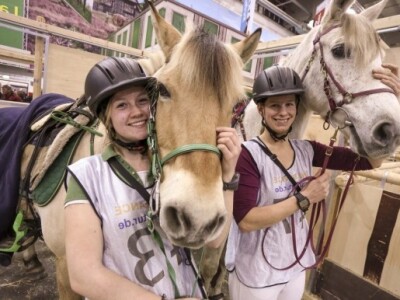 Čekanje na izlazak u ring