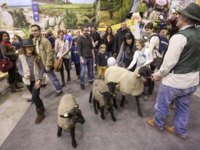 Atrakcija za publiku