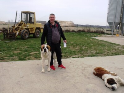 Bernardinci Luna i Beni Bernardinci Luna i Beni