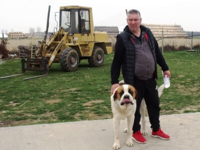 Bernardinci Luna i Beni Bernardinci Luna i Beni