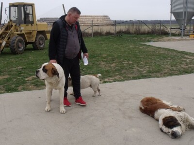 Bernardinci Luna i Beni Bernardinci Luna i Beni